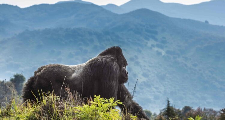 Rwanda