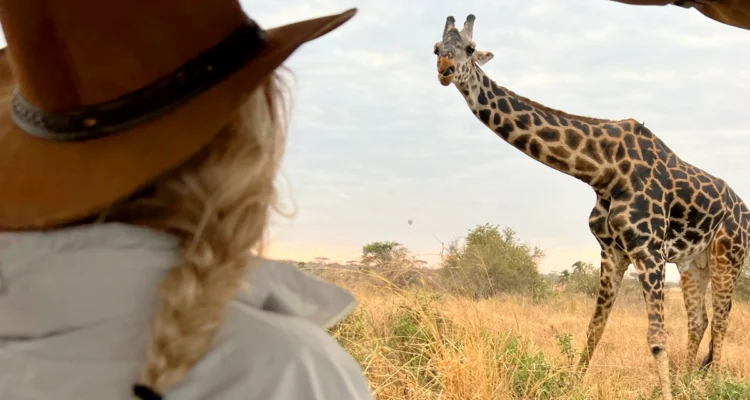 Your first safari