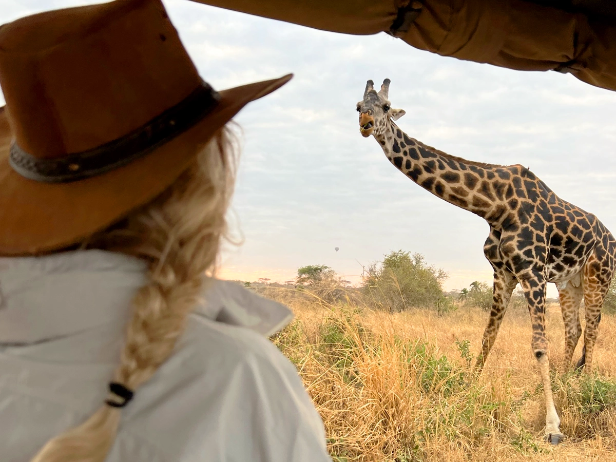 Your first safari