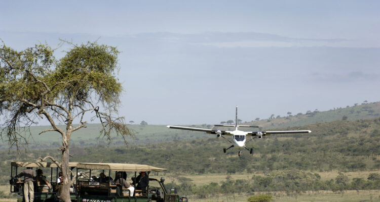 Multi-Country Safaris