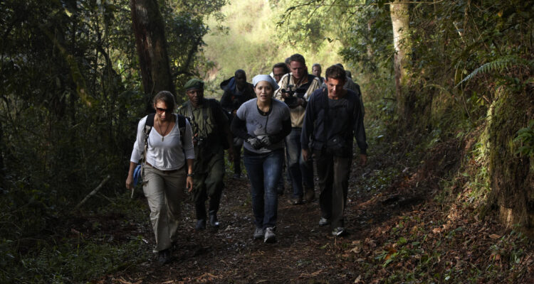 A Guide to Gorilla Trekking in Bwindi