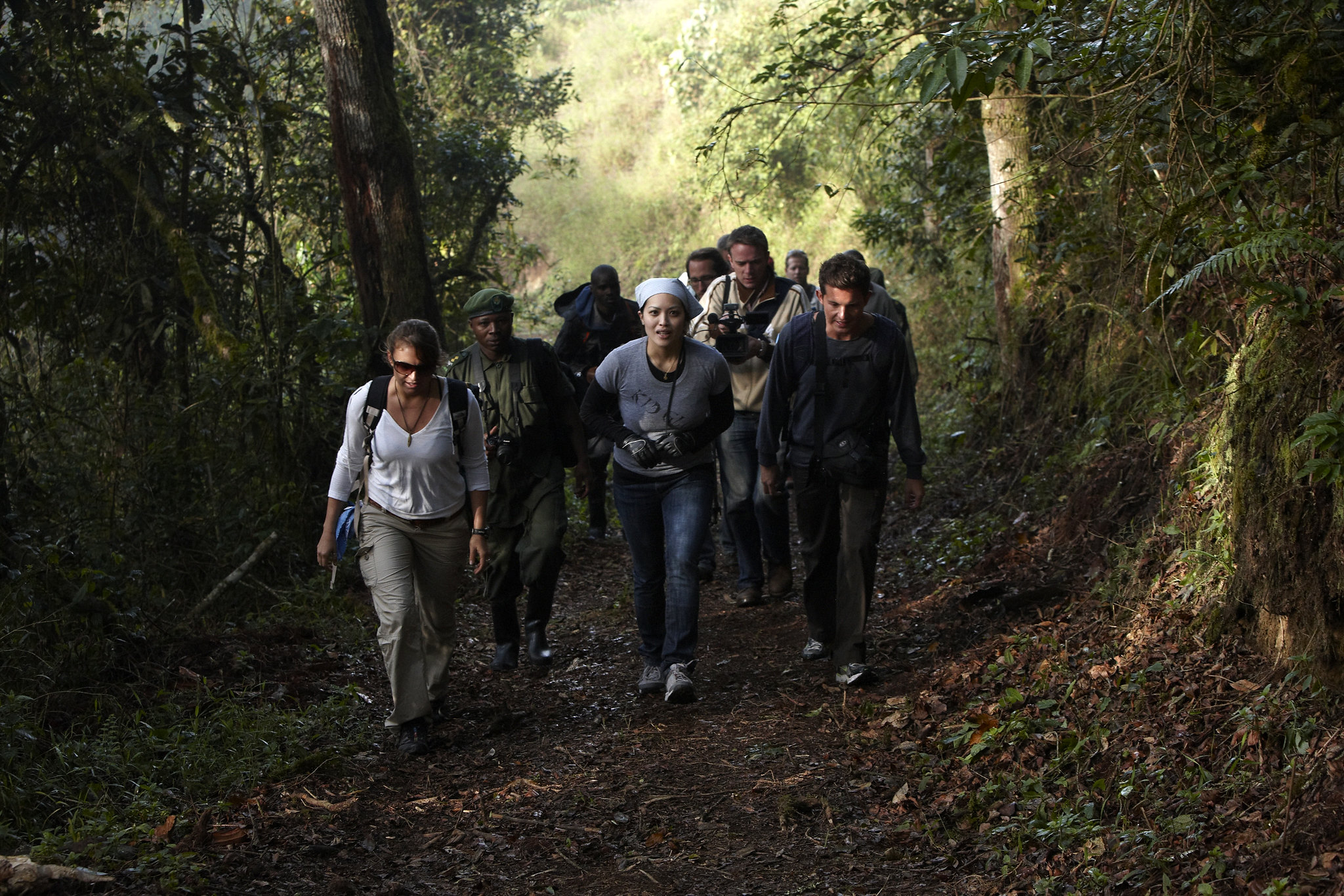 A Guide to Gorilla Trekking in Bwindi