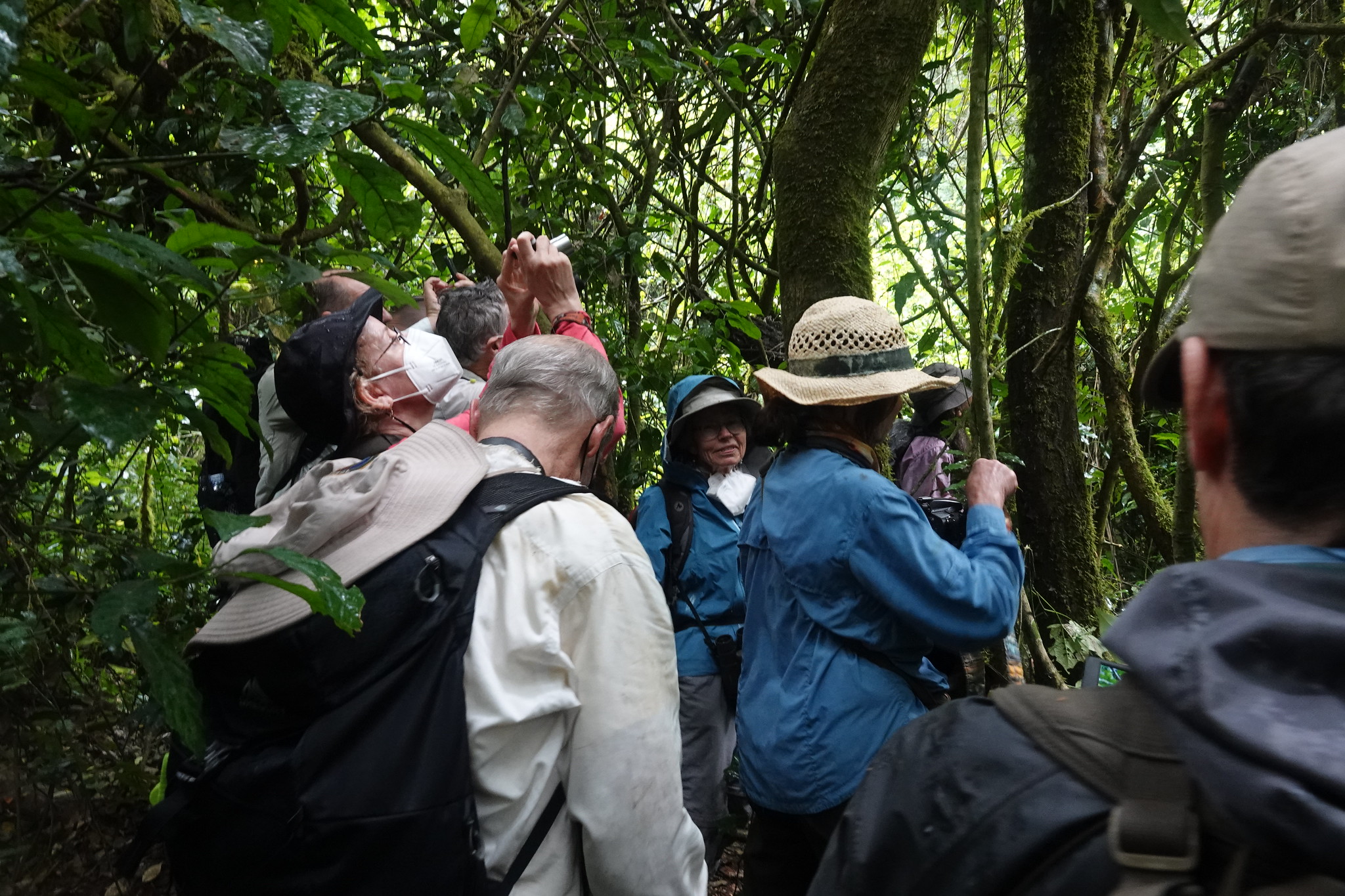 3 Days Chimpanzee Tracking Tour
