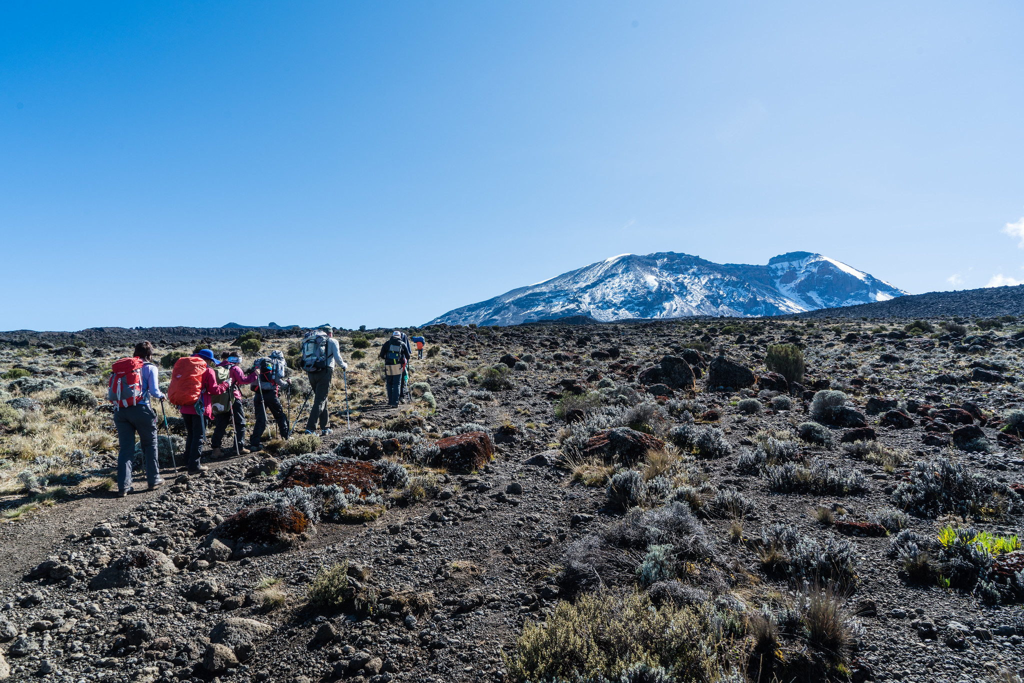 Trekking Guide to Climbing Mount Kilimanjaro