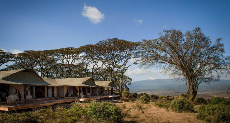 Entamanu Ngorongoro