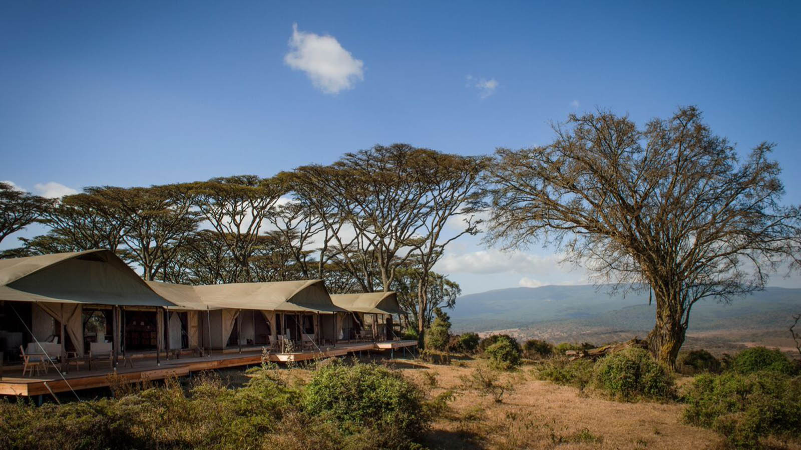 Entamanu Ngorongoro