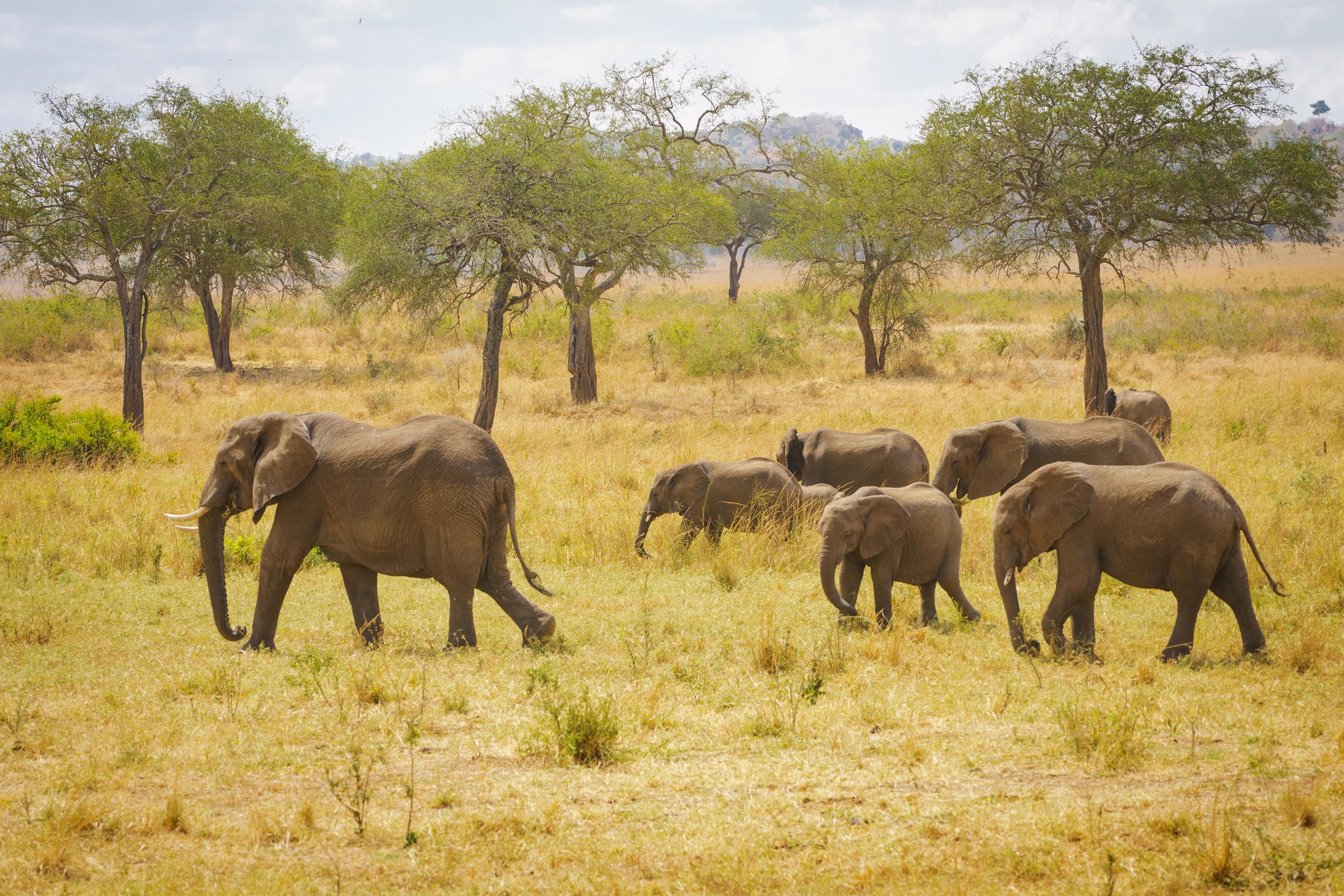 Kidepo Valley National Park
