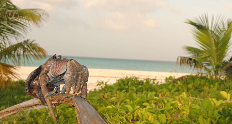 Beaches on Mainland Tanzania
