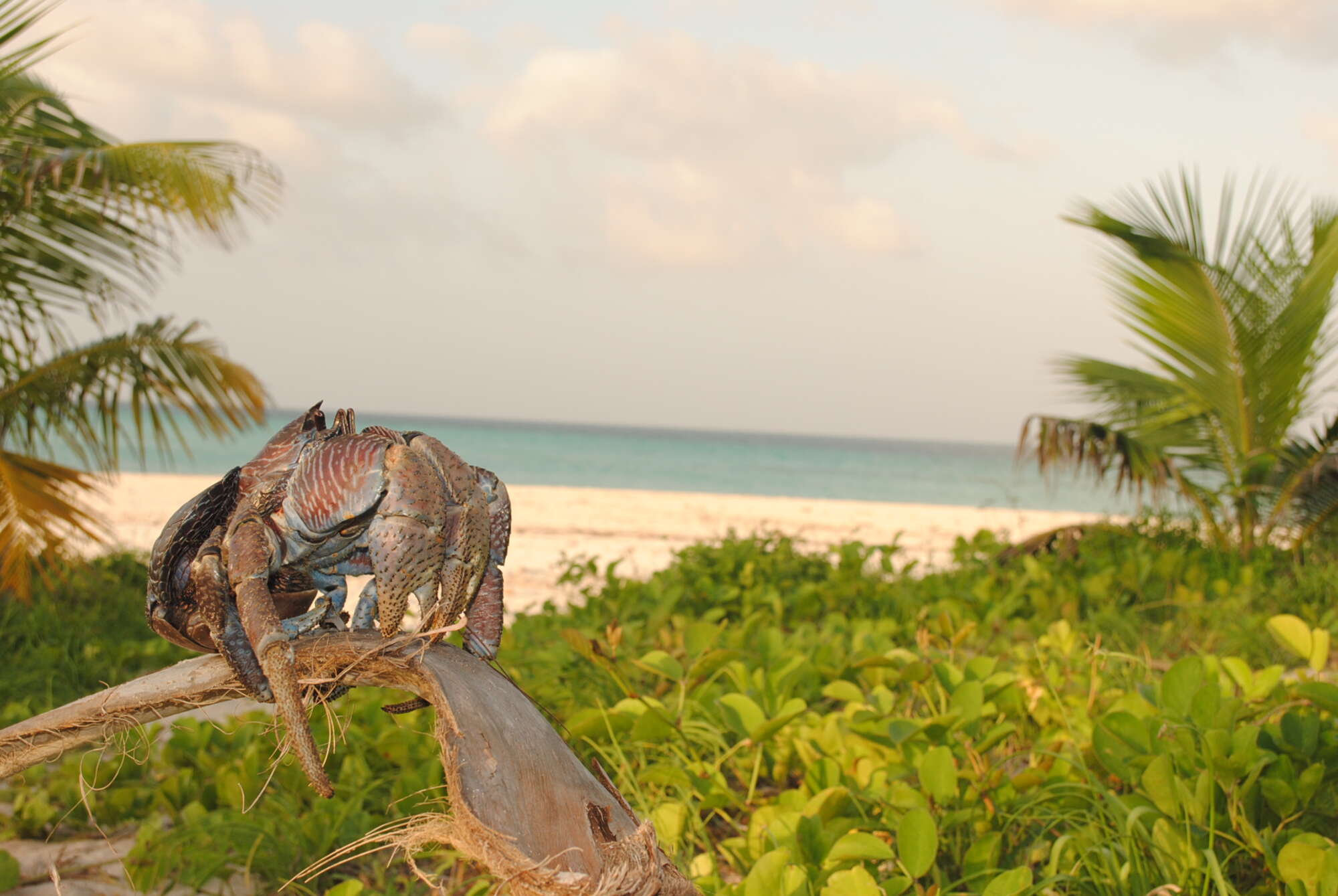 Beaches on Mainland Tanzania