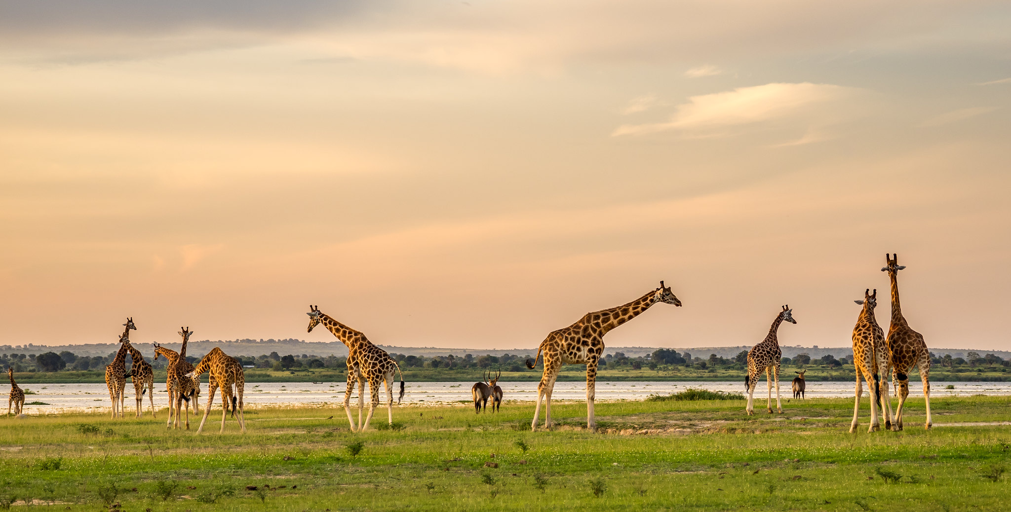 Murchison Falls National Park