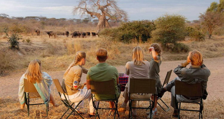 Things For Kids To Do On Safari