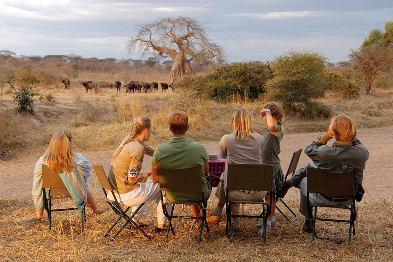 Things For Kids To Do On Safari