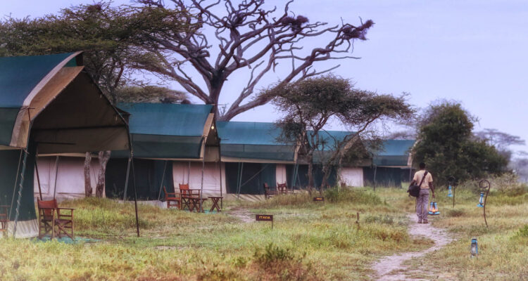 Nasikia Mobile Migration Camp