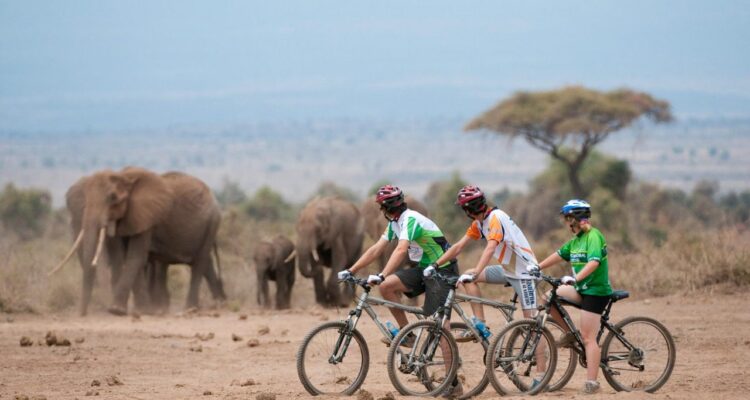 Adventure & Activity Safaris