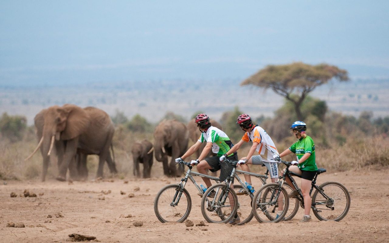 Adventure & Activity Safaris