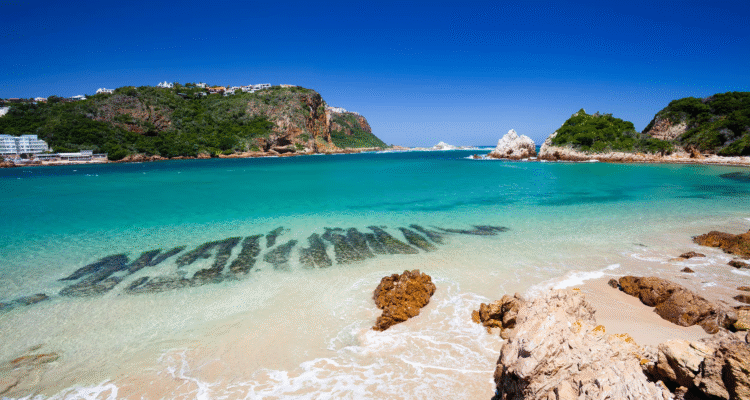 Eastern Cape Safaris
