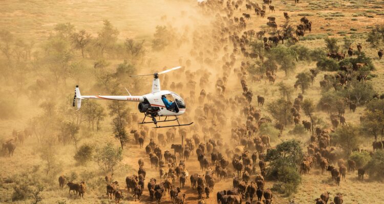 Kenya Helicopter Safari