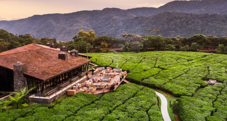 One&Only Nyungwe House