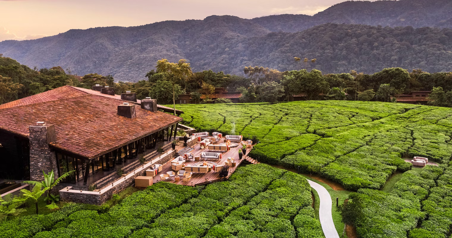 One&Only Nyungwe House