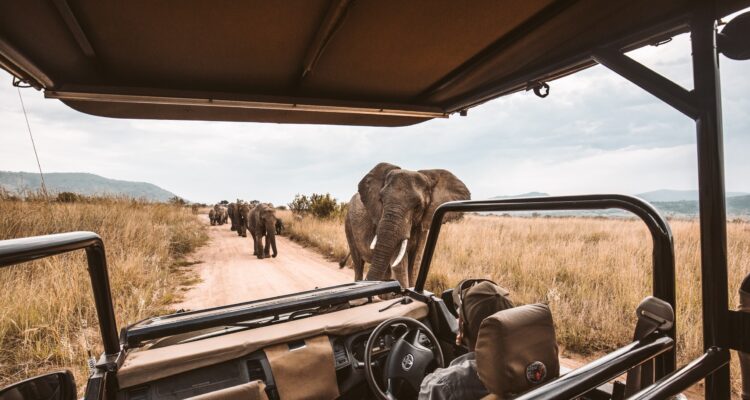 African Safari Itineraries: Browse Trips by Country and Style