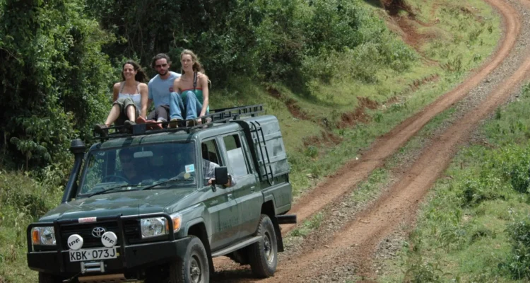 Safari Top Ten Guides: Lodges, Activities and Travel Ideas