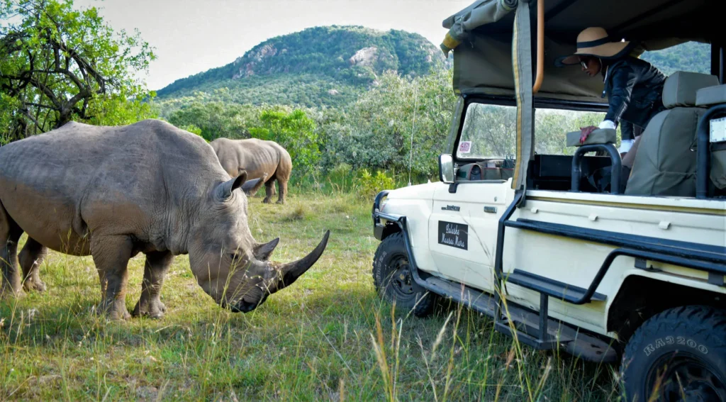 Luxury Africa Safari Tours