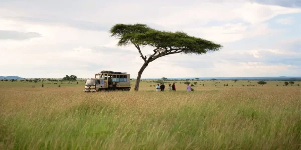 5 Best African Places to Visit in 2027.avifz