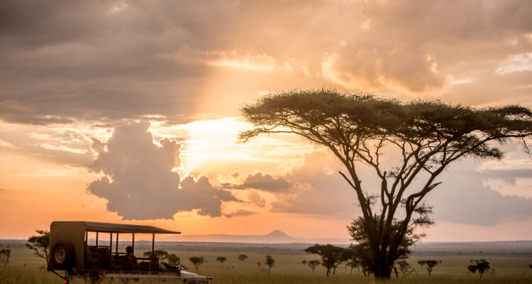 Top places to visit for an African Safari Safari in 2027